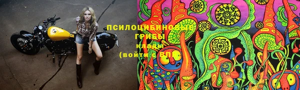 кокс Дмитровск