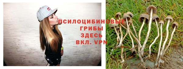стаф Гусев