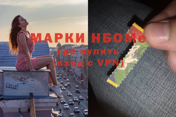 стаф Гусев